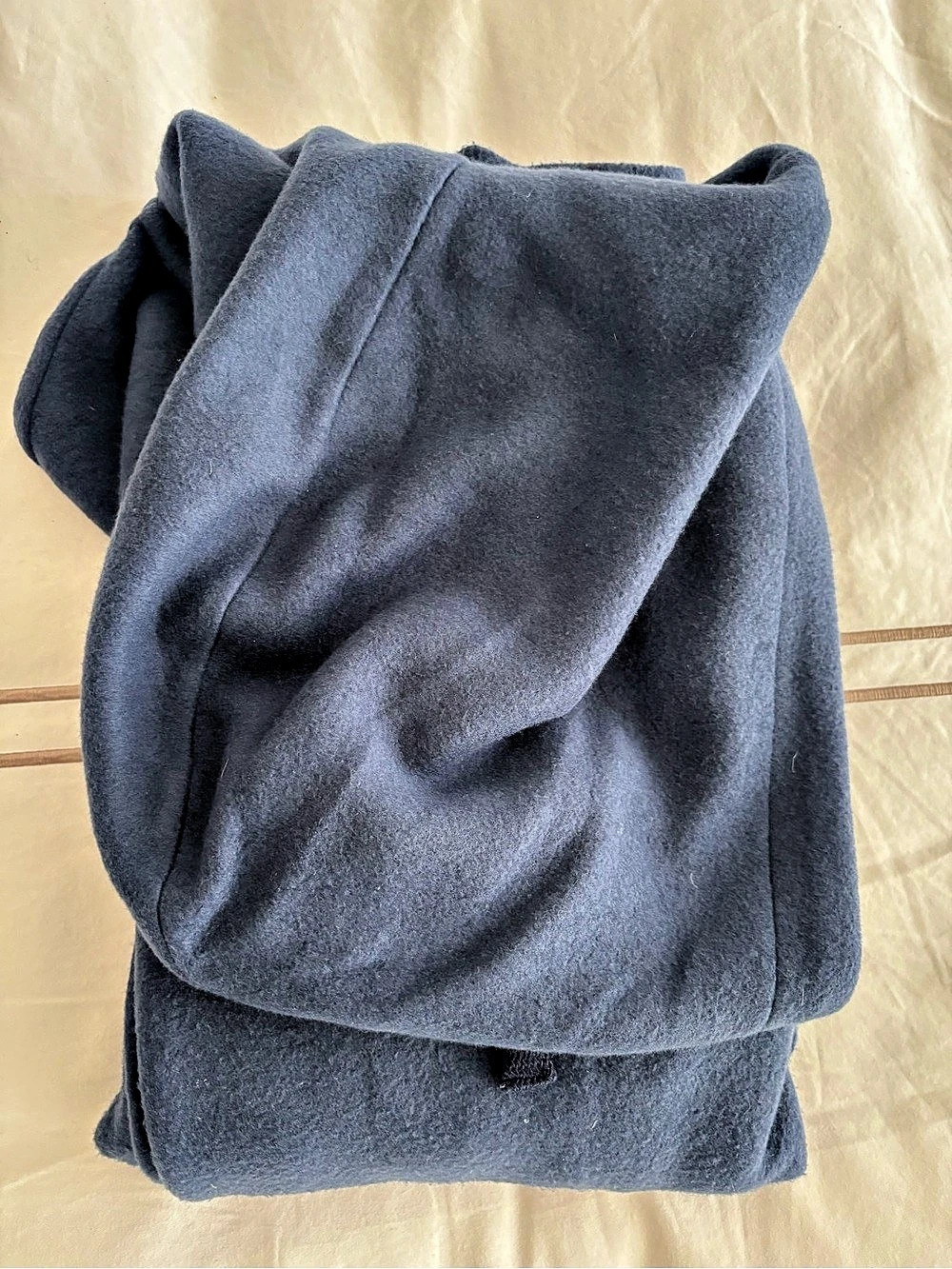Alo Blue Fleece Hoodie